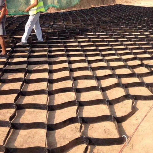 廣西百色田陽三維土工網(wǎng)墊廠家 集團實業(yè)公司格室的創(chuàng)新與應(yīng)用